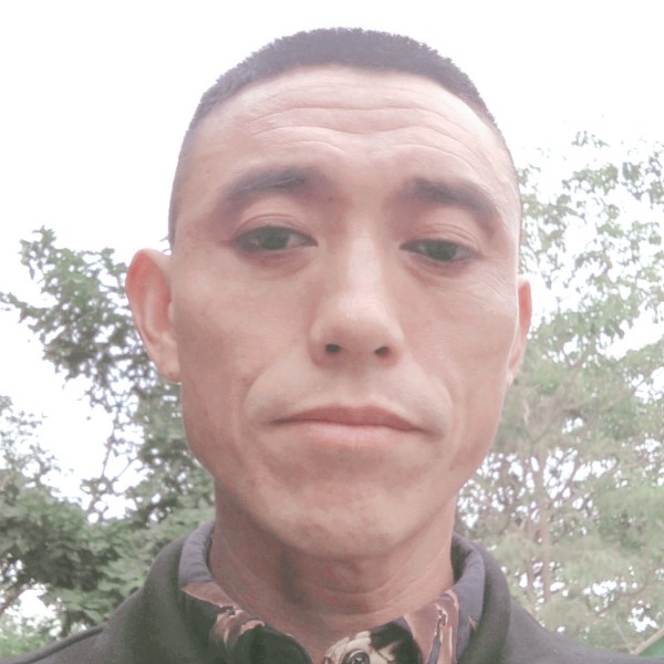 猎豹改变初夏的照片