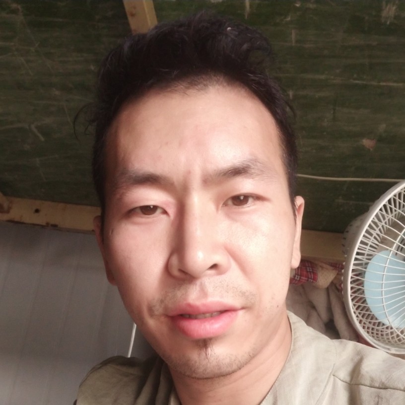 希望的种子的照片