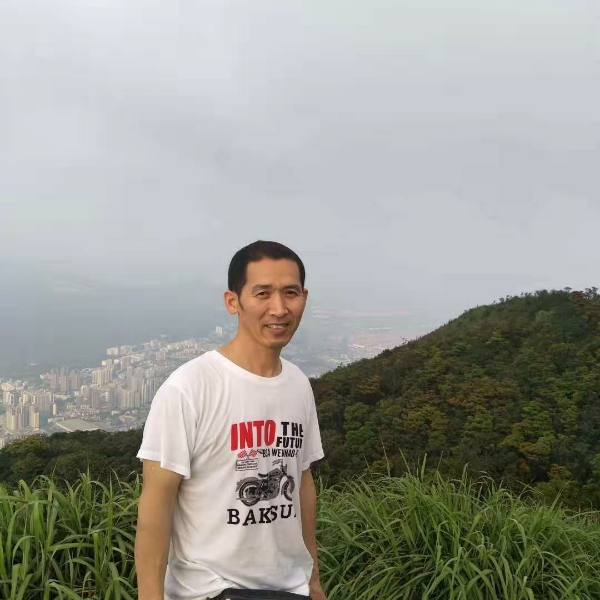 优美大柳树的照片