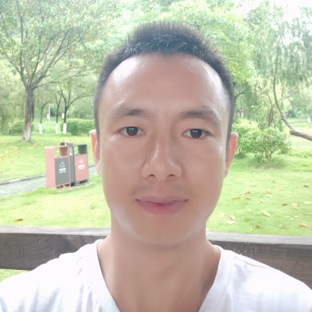 向日葵倾心沉默的照片