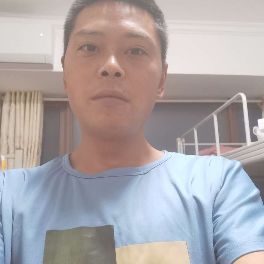 大雁俏皮的照片