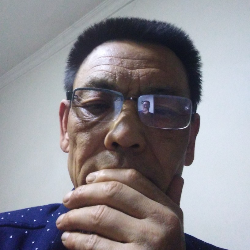 乌龟聪慧的照片