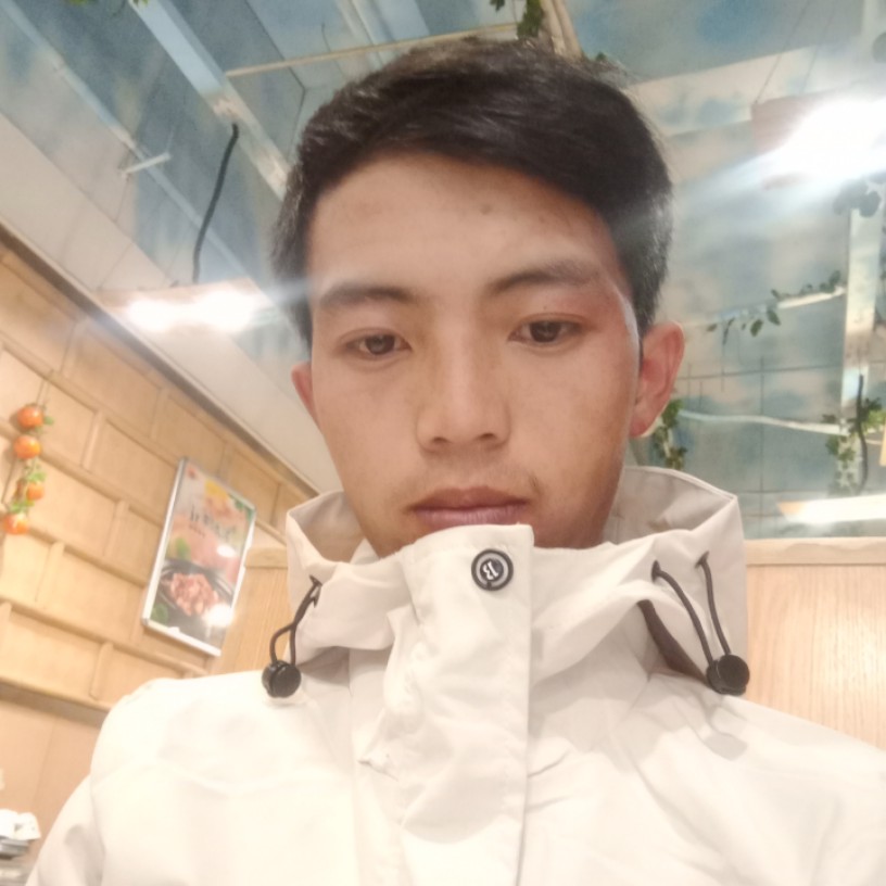蜜蜂的正直的照片