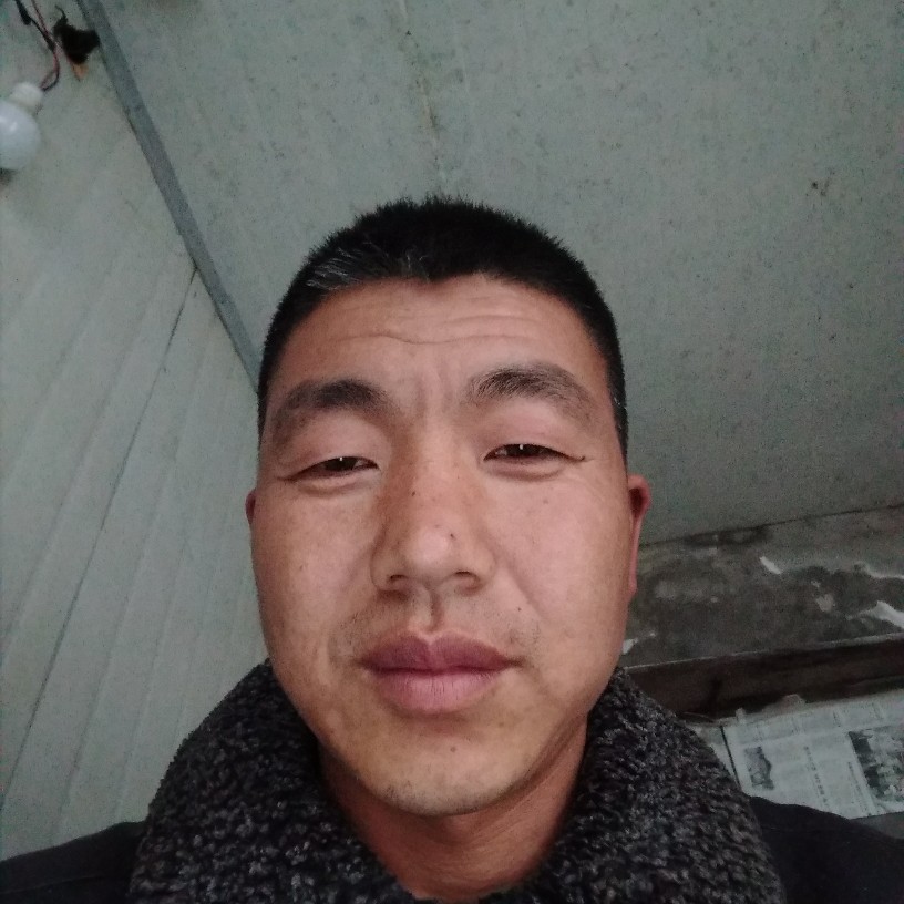 小丸子活泼的照片