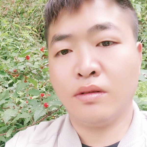 李高军的照片