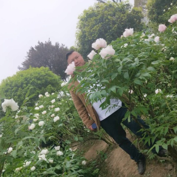 诚实的爱的照片