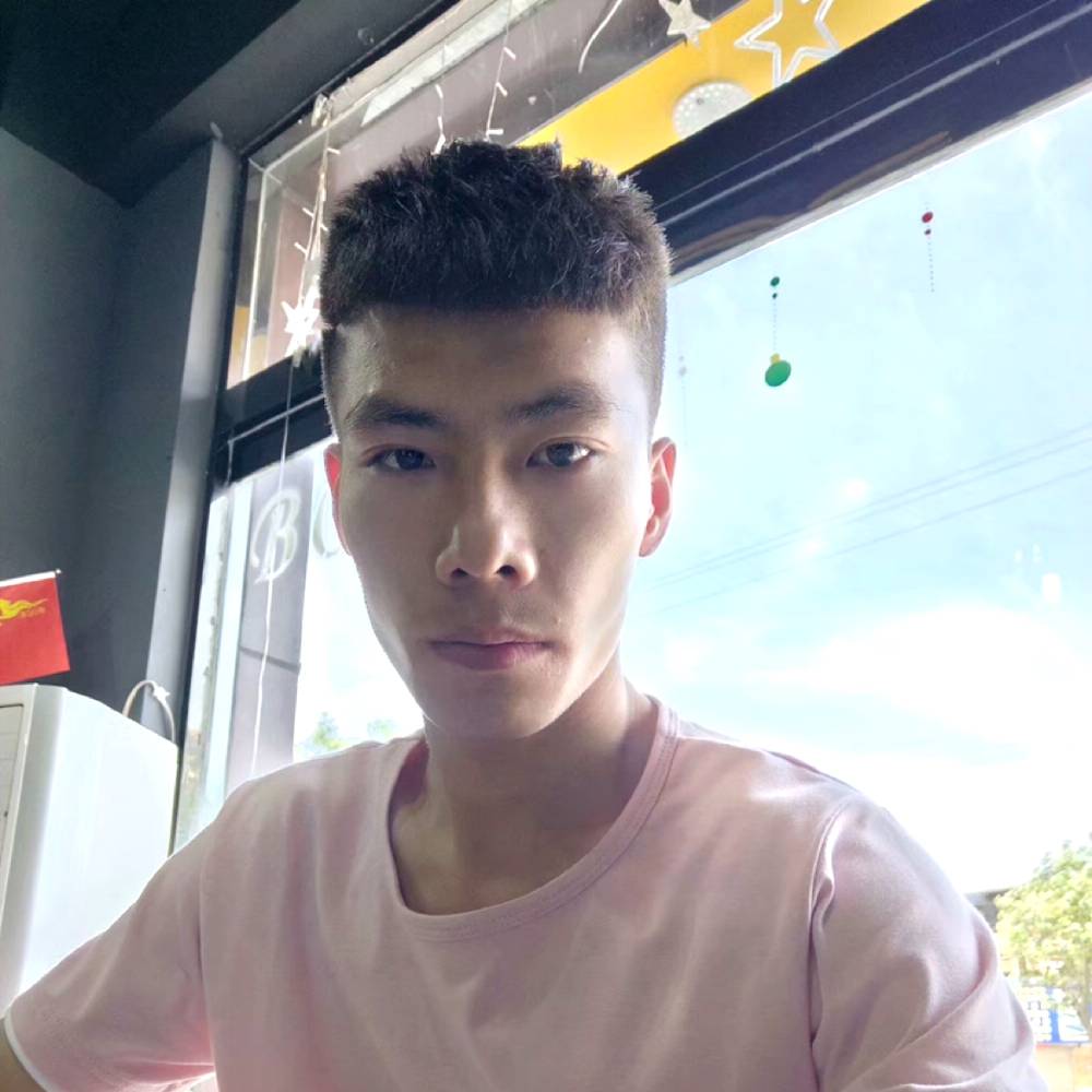 斯文踢诺言的照片