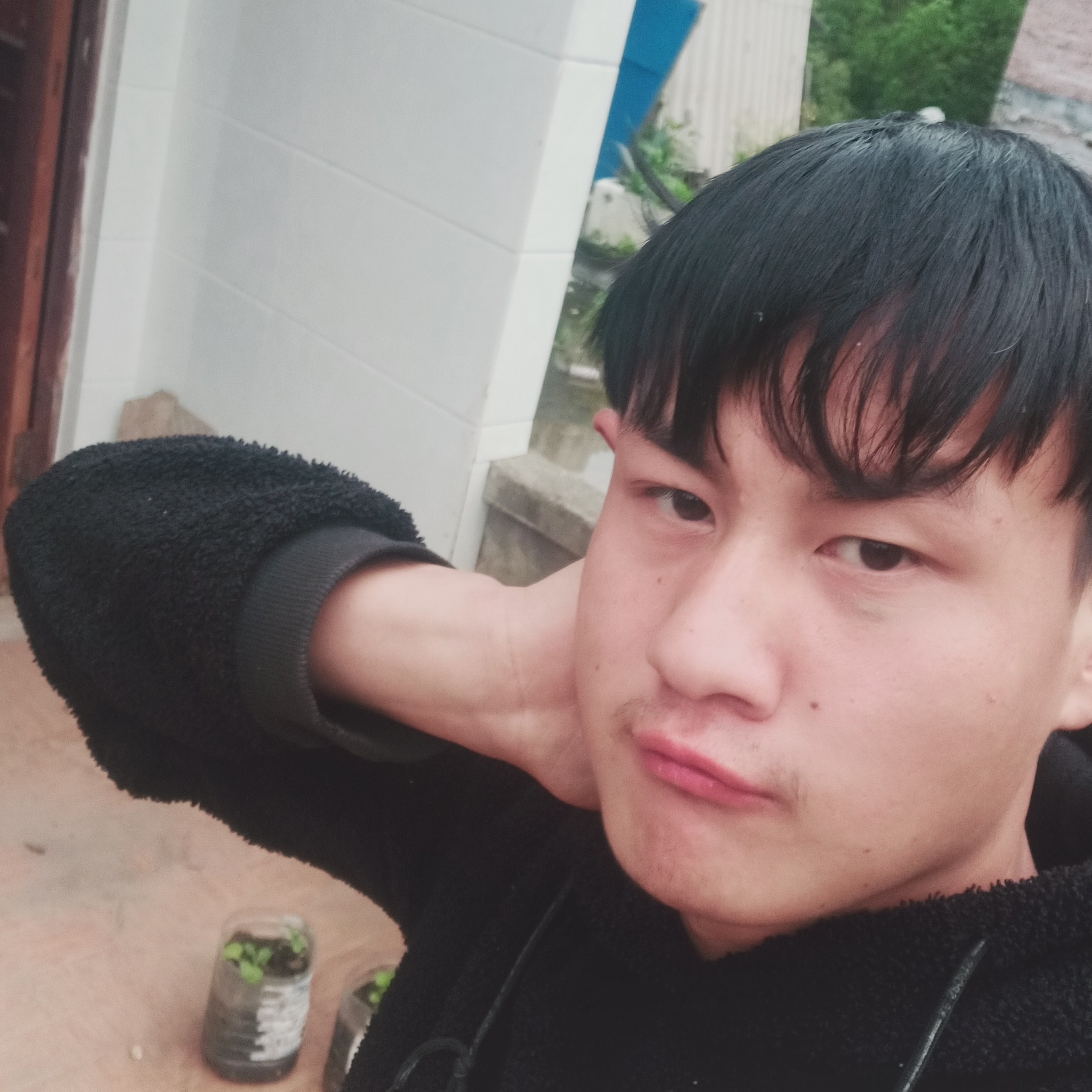 哈密瓜方贤惠的照片