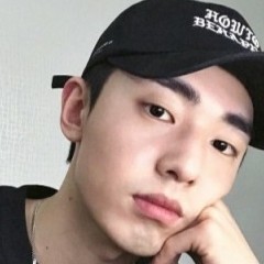 鸭子漂亮的照片