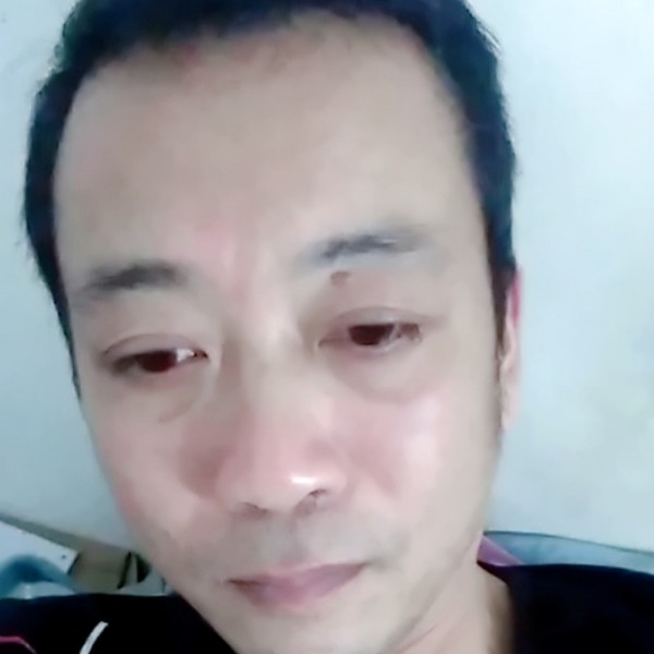 小天鹅蹙眉光亮的照片
