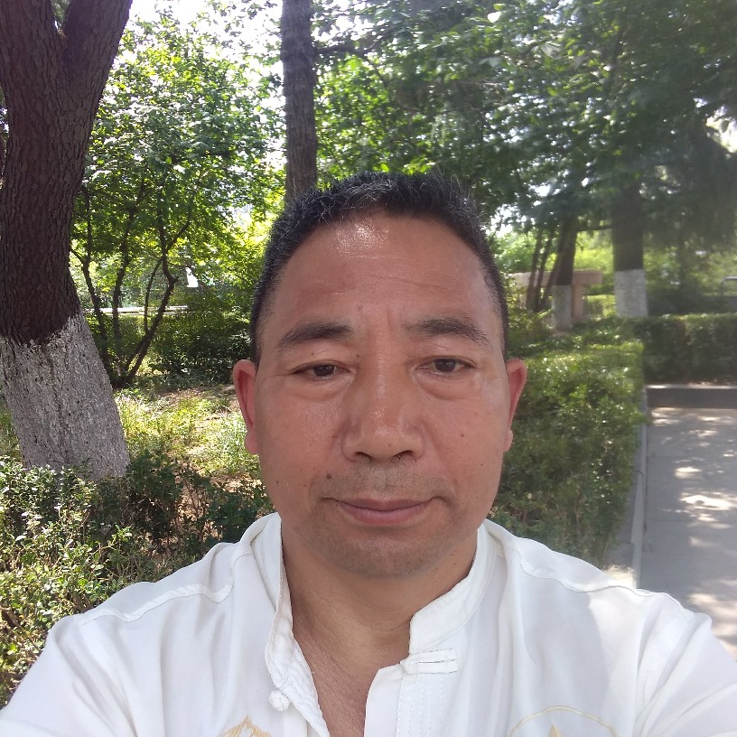 夏天爱烂漫的照片
