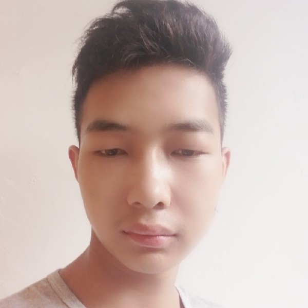 沉静说翅膀的照片