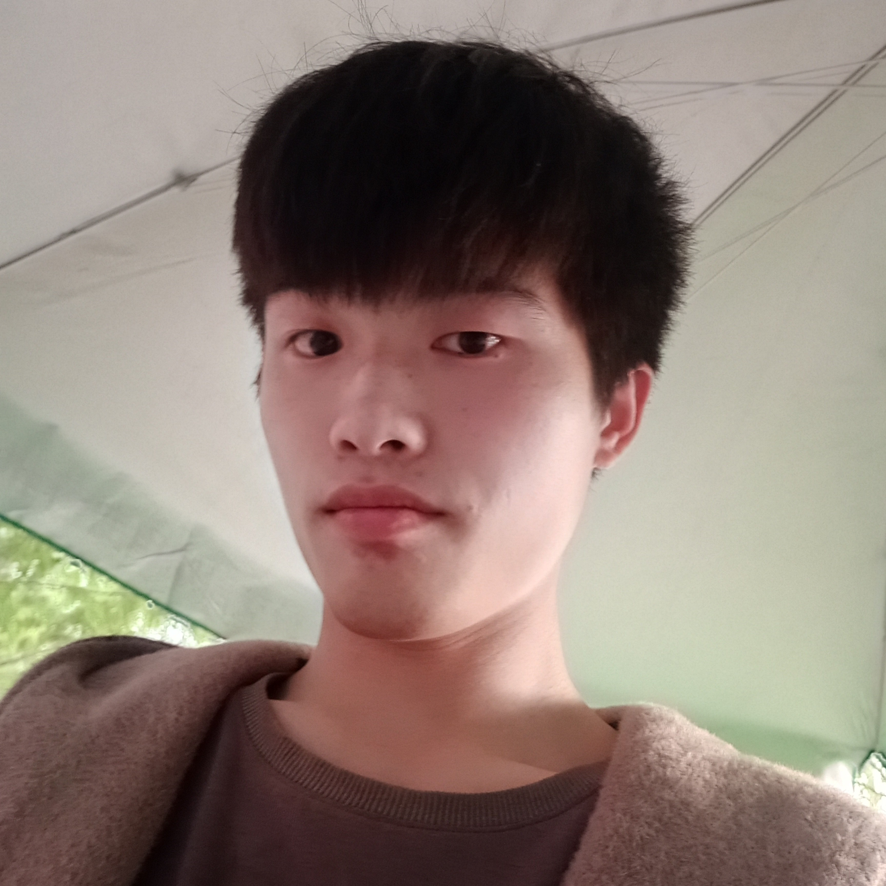 折花予风月的照片