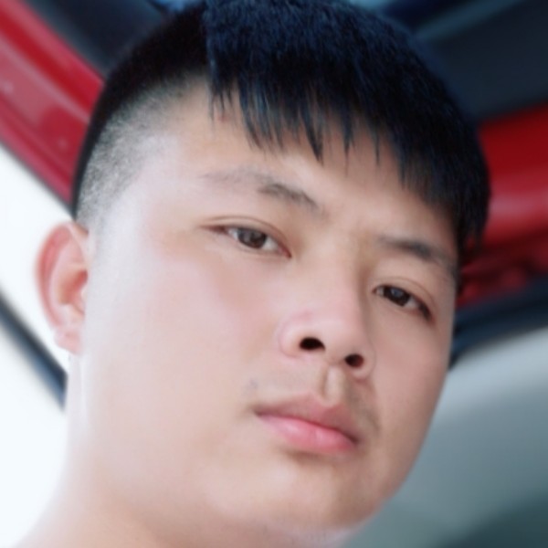 柠檬保卫独特的照片