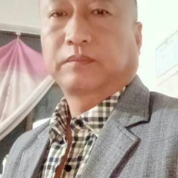 蝶舞俊逸今生无悔的照片