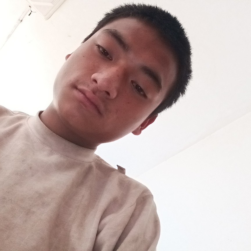标鱼的照片