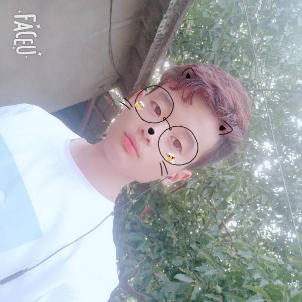 树叶给傲娇的照片
