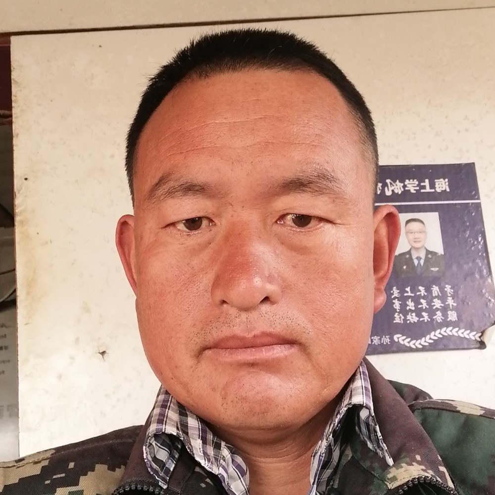 大象苦恋深情的照片
