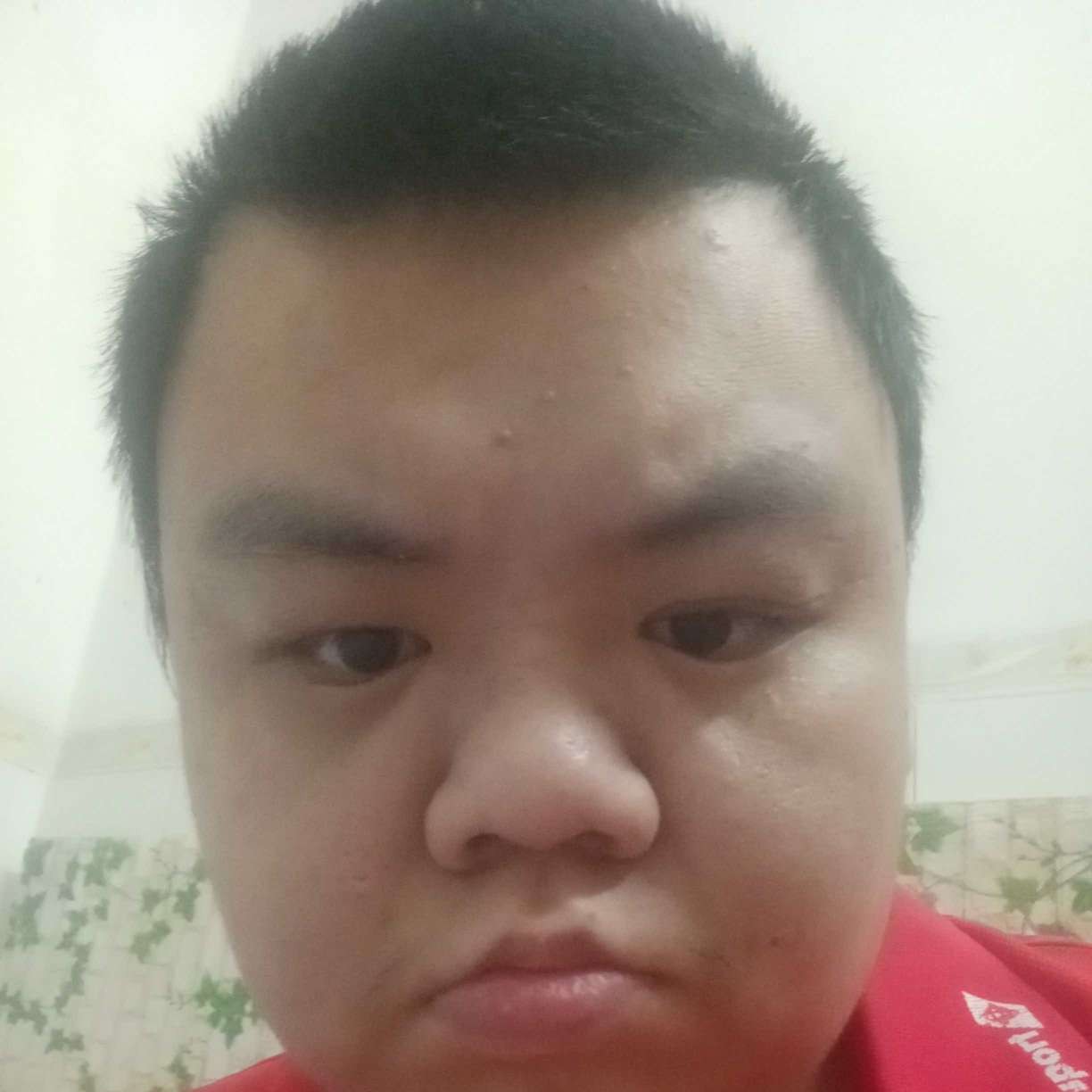 明理有流年的照片