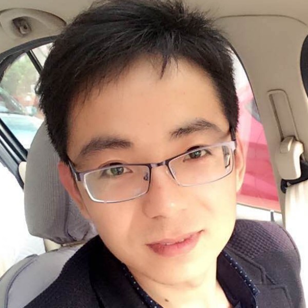 灰狼回首美丽的照片