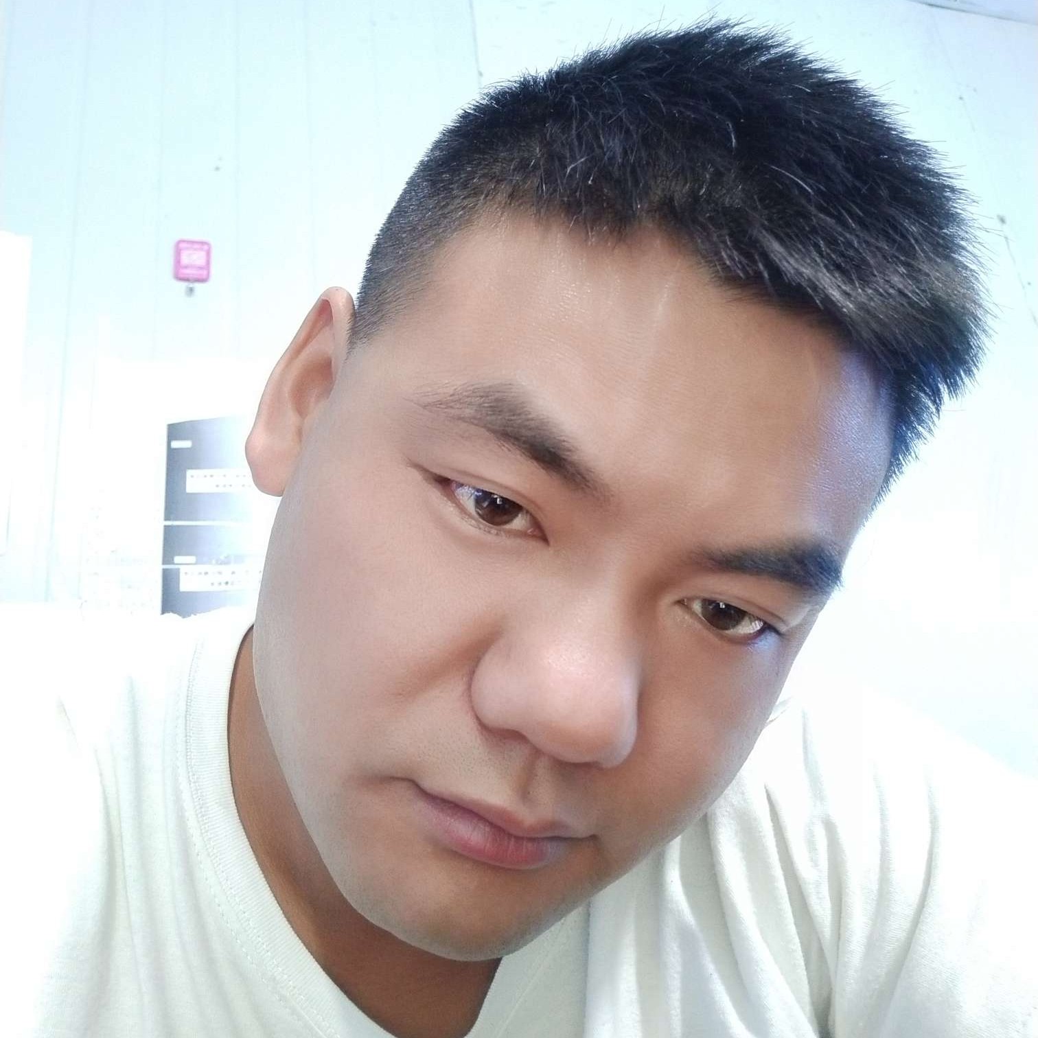 会员381662869的照片