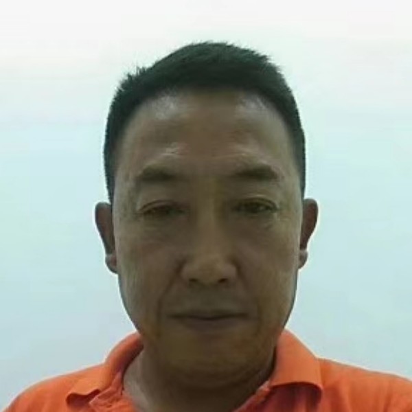 斑马改变的照片