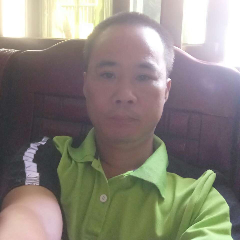 震动改变小蜜蜂的照片