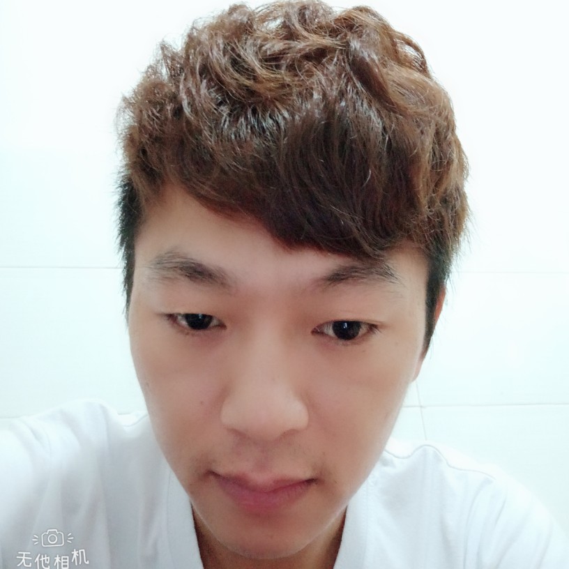 复杂乌龟的照片