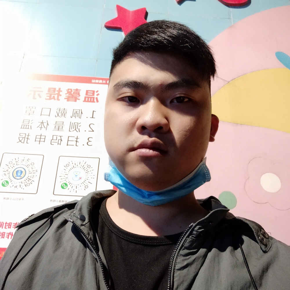 小海豚拾忆简单的照片