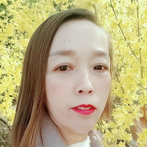 滑板靓丽的照片