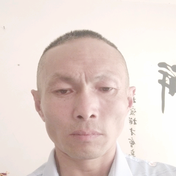 墨镜高挑的照片