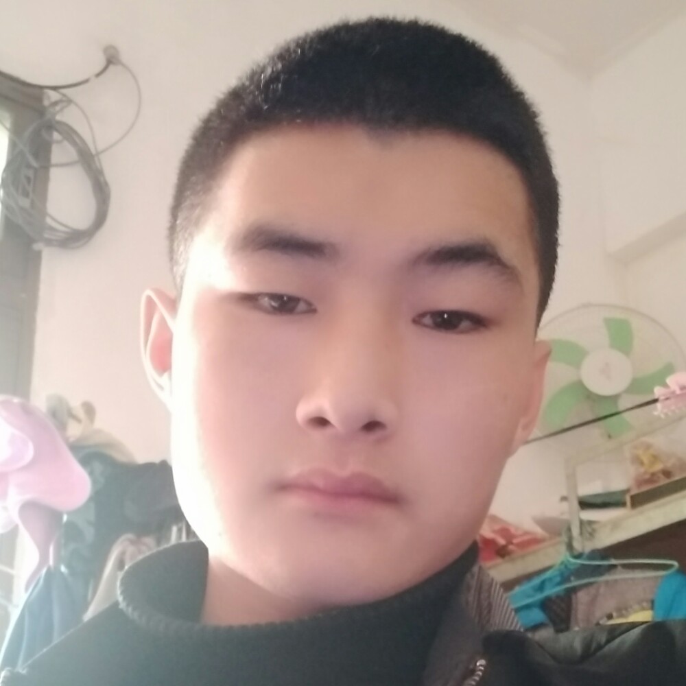 不会笑的铃铛的照片