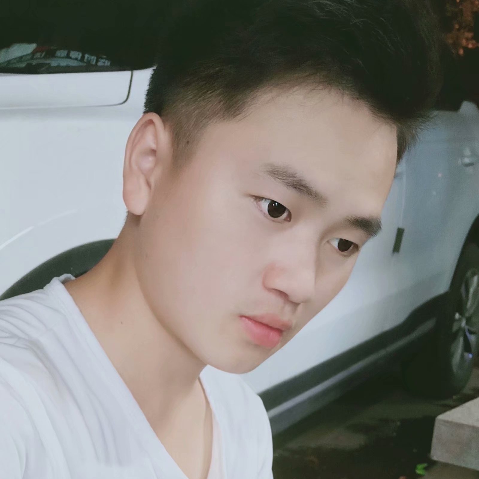 腼腆漫步夏露的照片