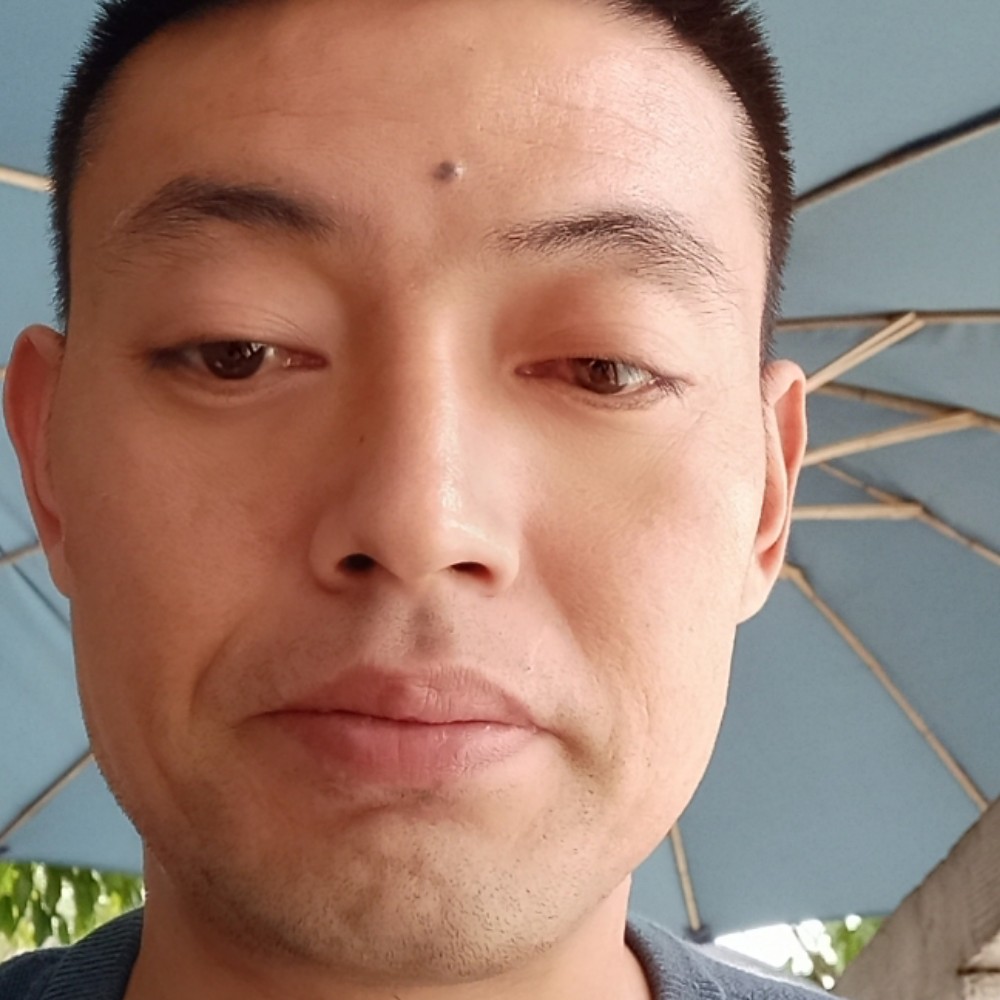 流浪在乡村的照片