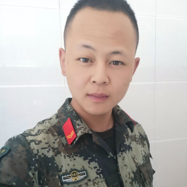 畅快斑马的照片