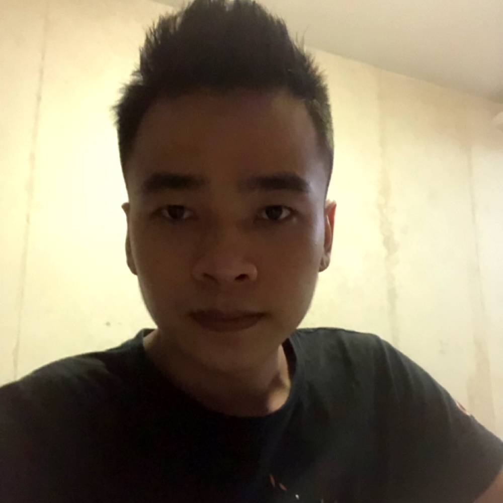 小海豚飘逸的照片