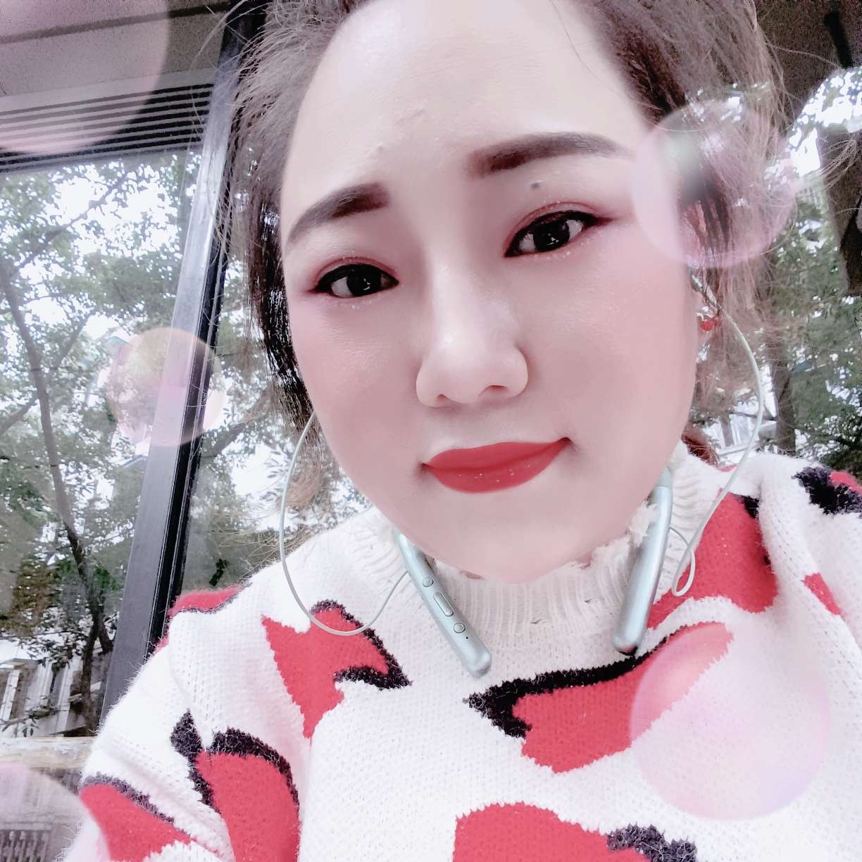 太阳爱上向日葵的照片