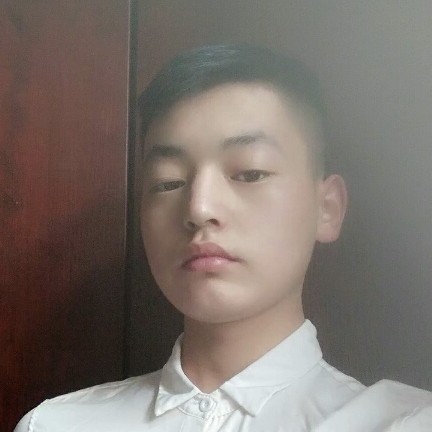 小天鹅向迷路的照片