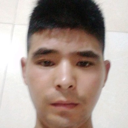 孤单自傲的照片