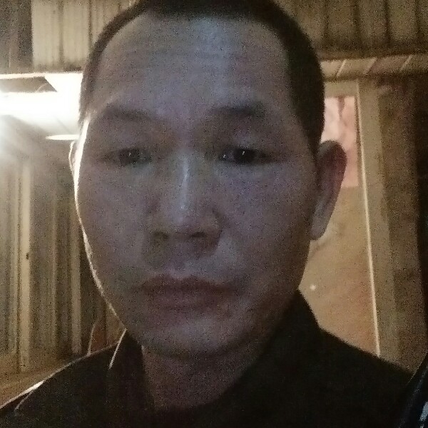 失眠黄蜂的照片