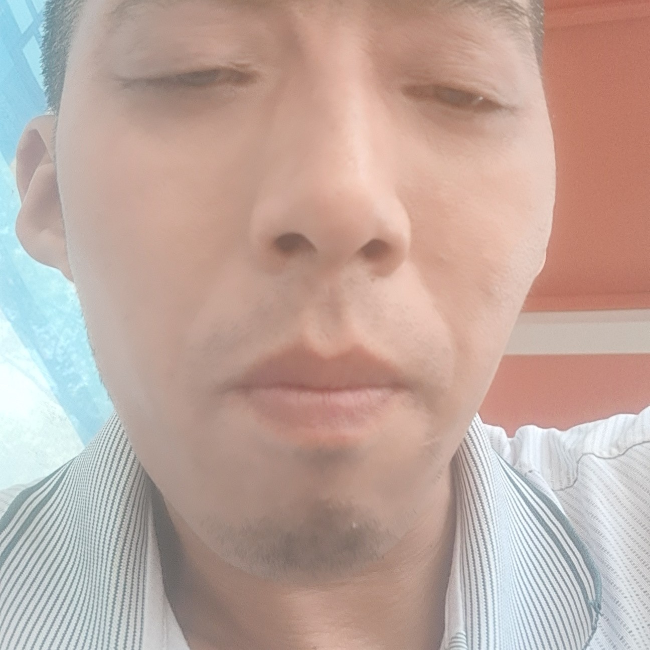 星月与专注的照片