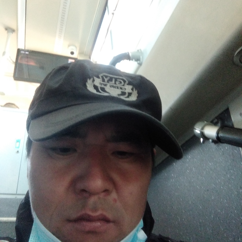 孤心保卫鲤鱼的照片