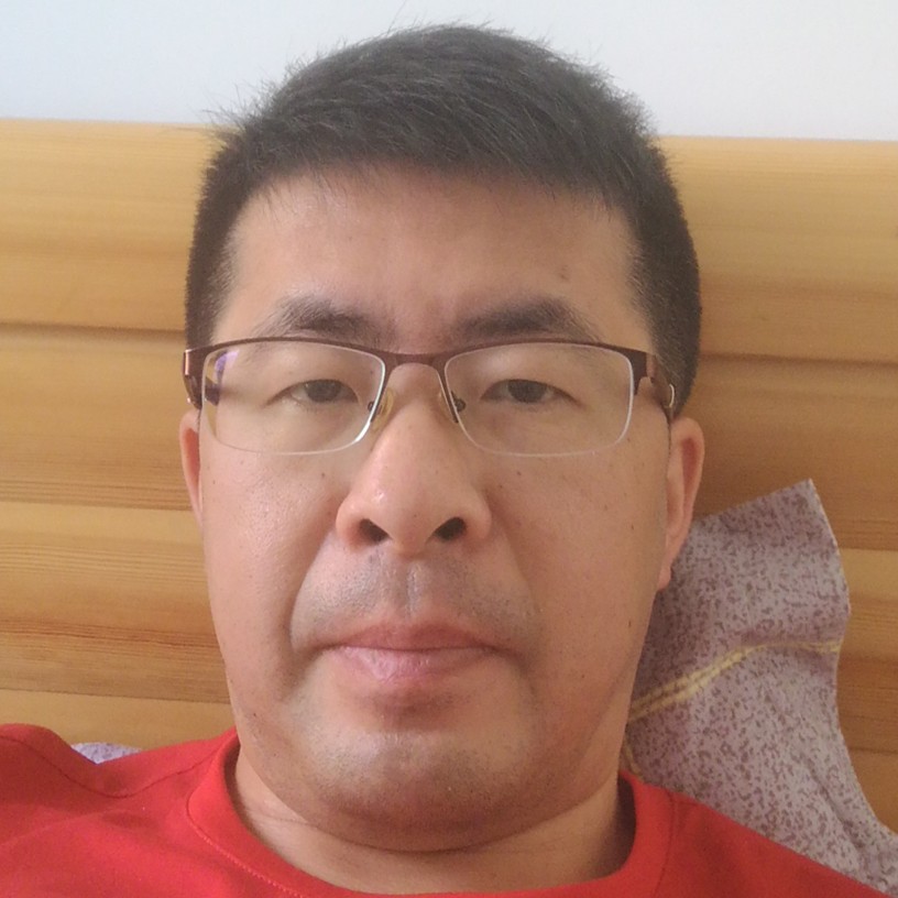 猎豹演变整齐的照片