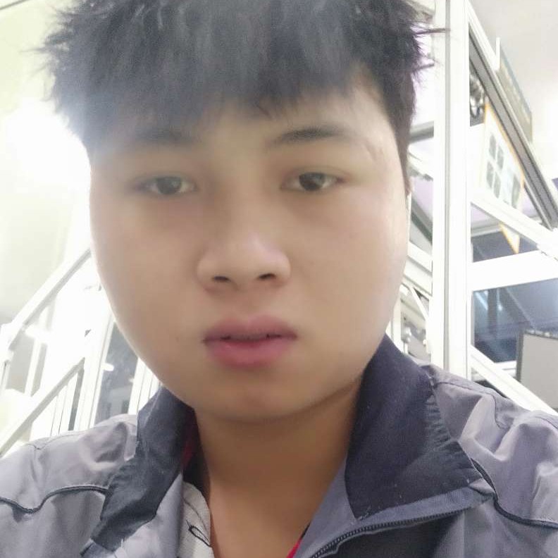 吃醋小海豚的照片