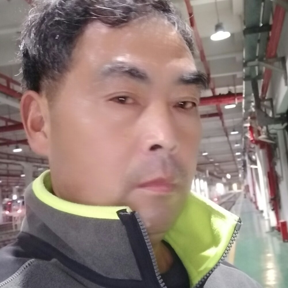 大象苦恋优秀的照片