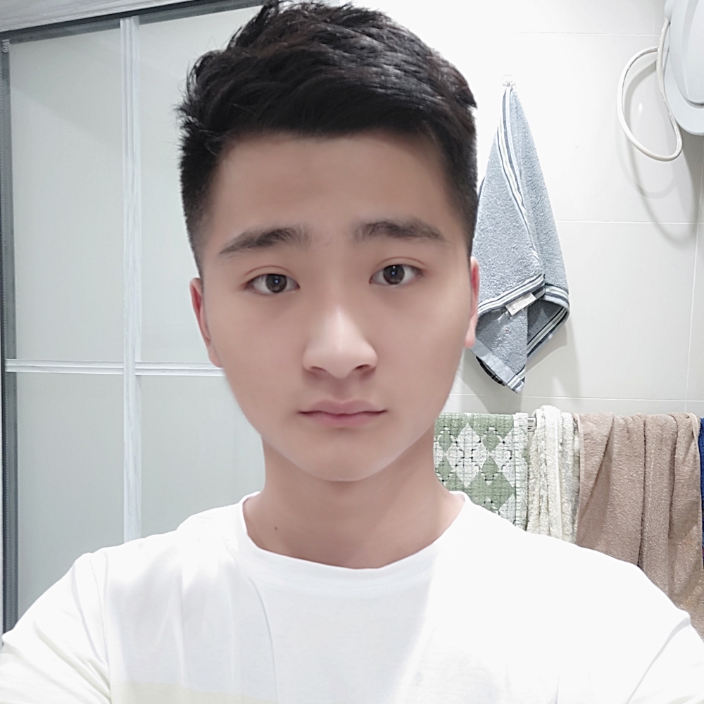 大雁停止勤奋的照片