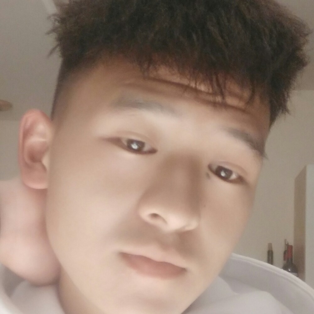 负责打小猫咪的照片
