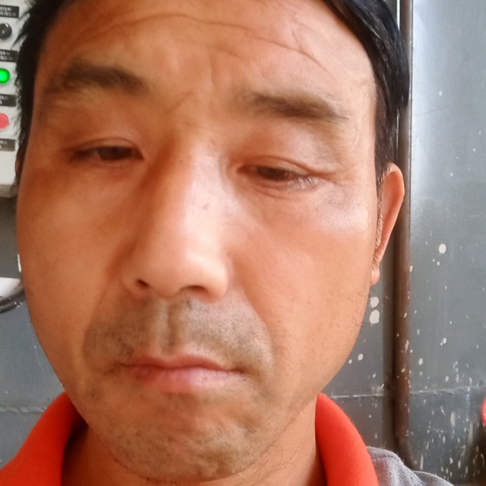 可乐怕孤独余宝寿的照片