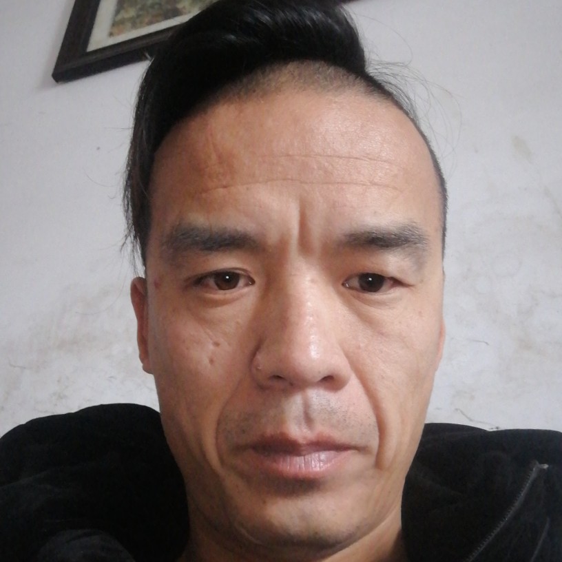 仓鼠的照片