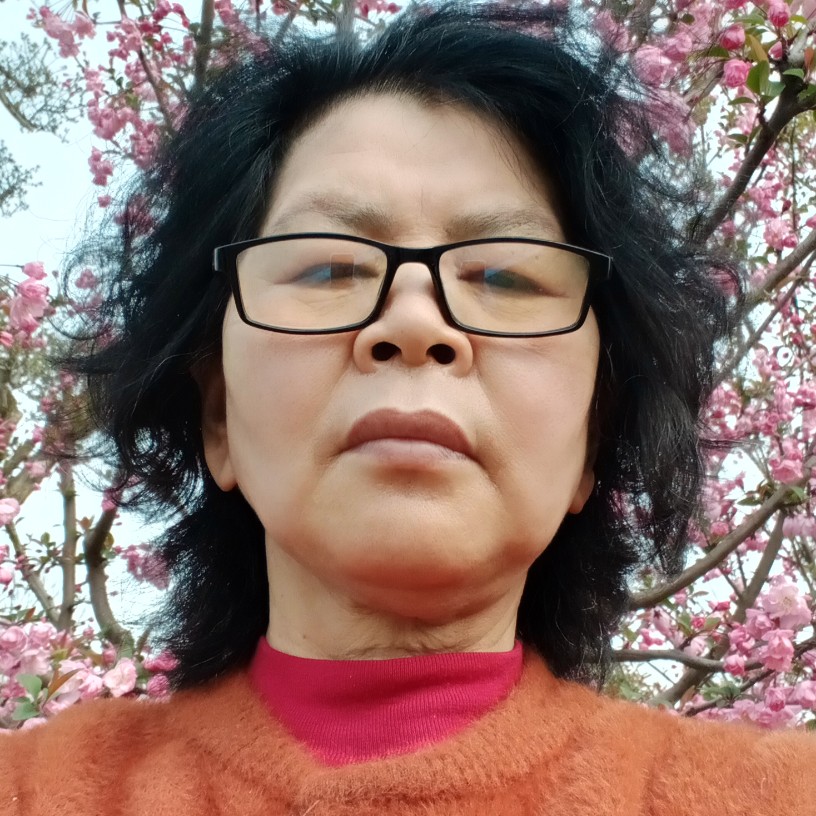 斯文放弃大米的照片